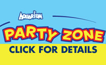 Party Zone