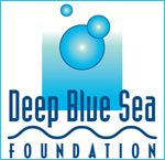 Deep Blue Sea