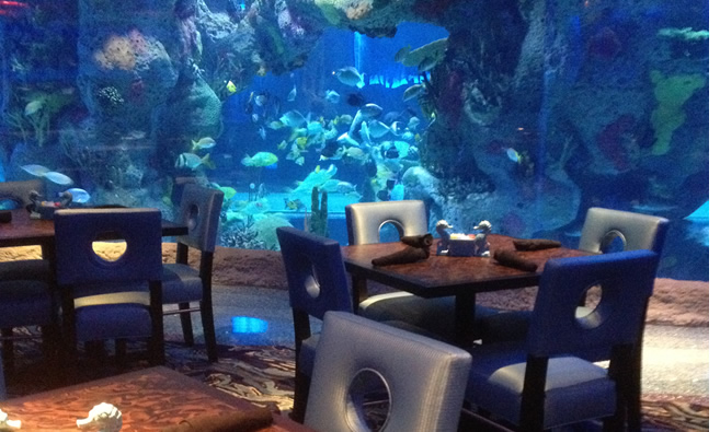 Aquarium Restaurant - Nashville, TN