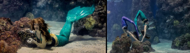 Photo of performers in mermaid outfits inside of a tank of water.