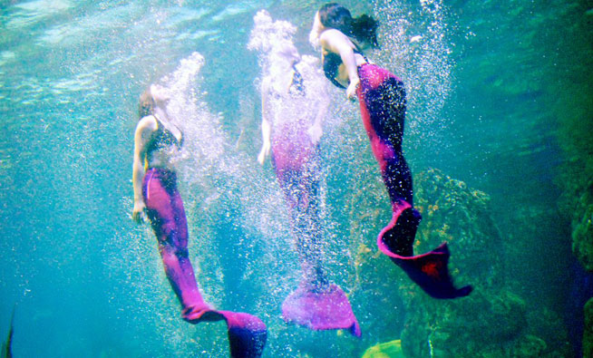 Three mermaids swimming in the aquarium