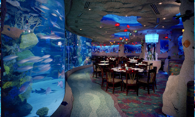 Aquarium dining room