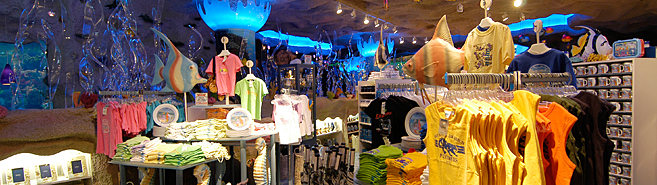 Gift Shop In The Kingdom