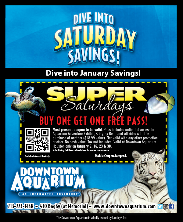 Houston Aquarium Super Saturdays Houston on the Cheap