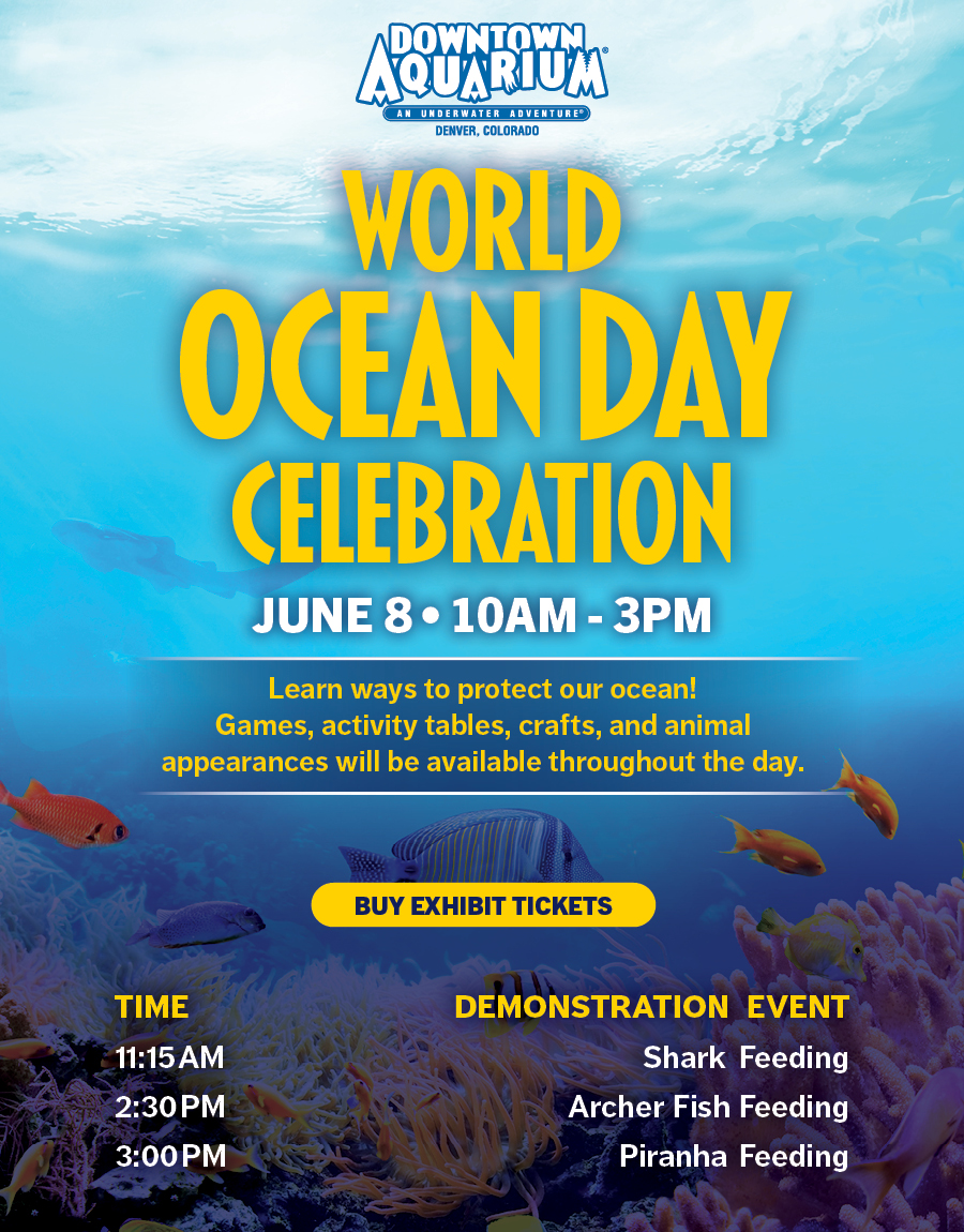 World Oceans Day at the Downtown Aquarium in Denver