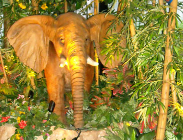 Photo of an elephant in the bushes