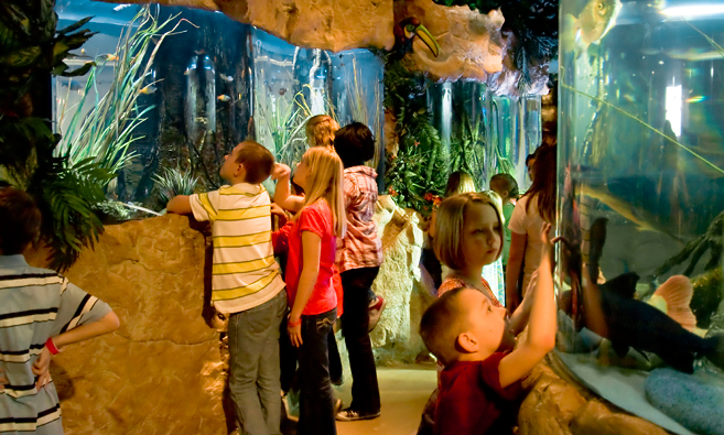 Kids at the aquarium