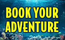 Book Your Advanture