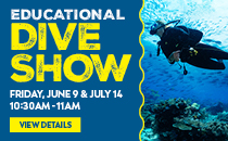 Dive-Show