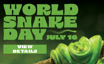 World Snake Day