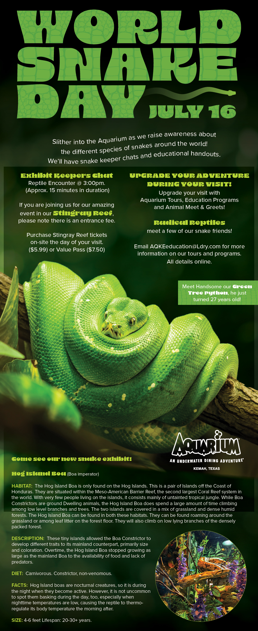 Now Serving - Snake Day Promo