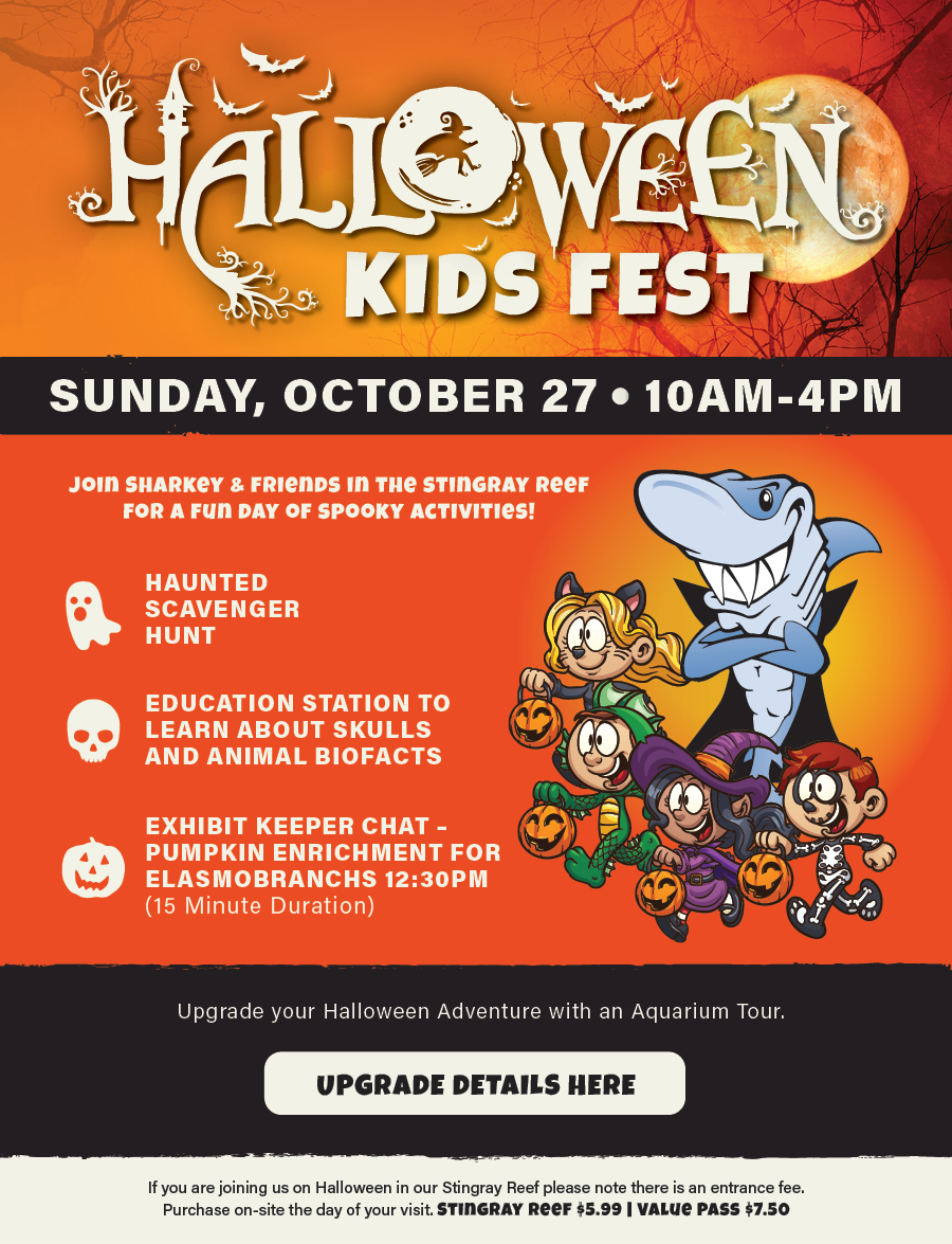 Halloween Fest 2024