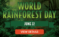 World Rainforest Day