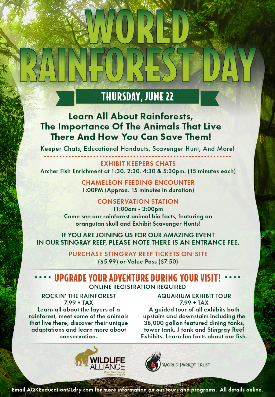 World Rainforest Day