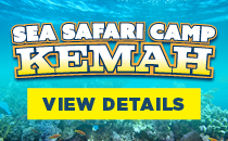 Sea Safari Camp