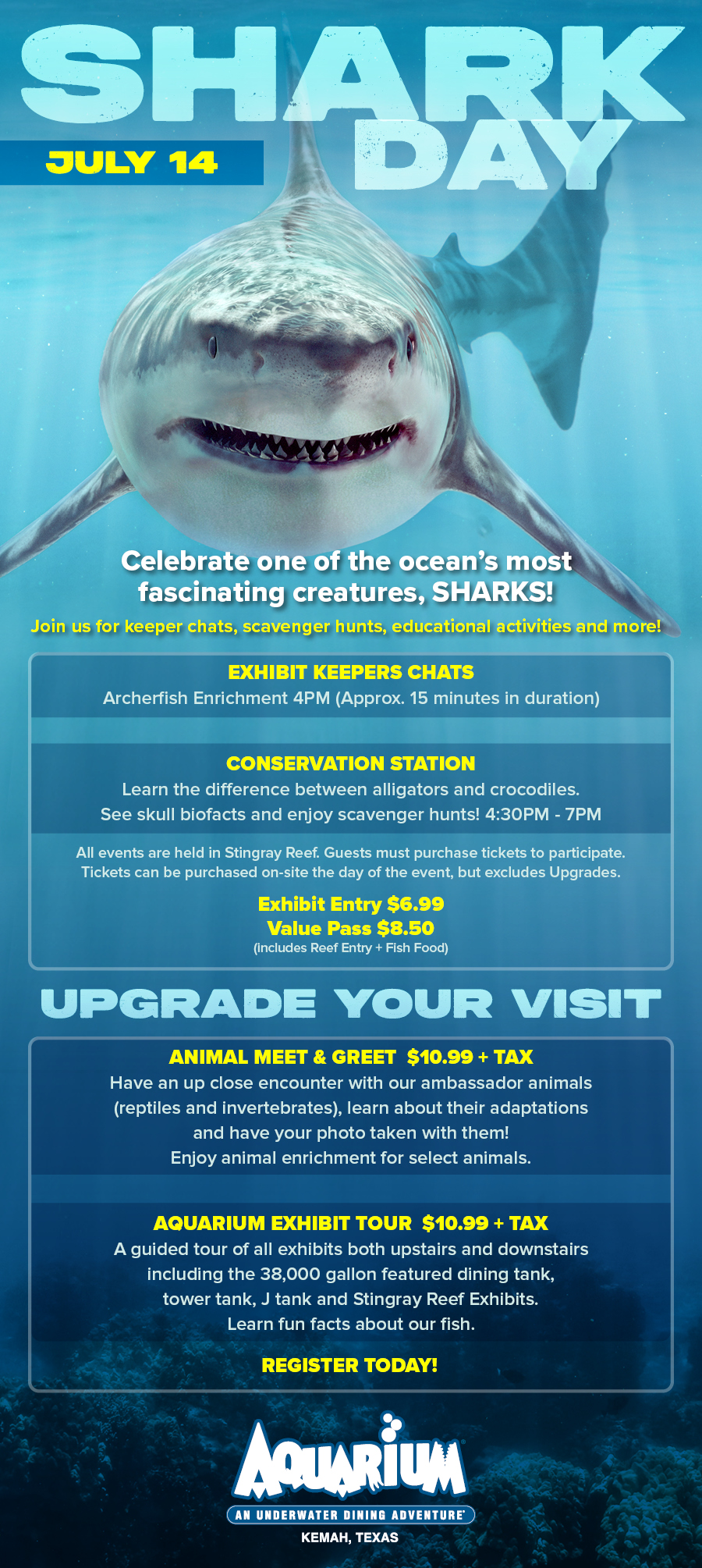 Now Serving - Shark Day Promo