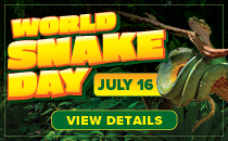 Snake Day