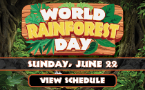 World Rainforest Day