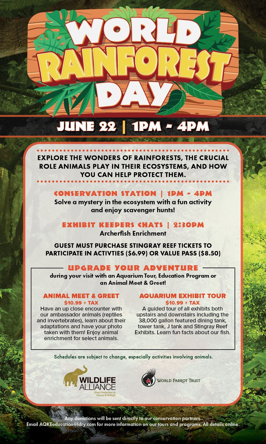 World Rainforest Day