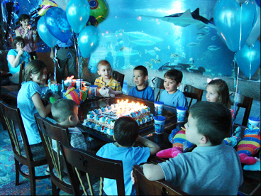 houston birthday birthdays aquarium restaurant parties venues places sugar land downtown denver nashville tn tx bottom sea form area fish