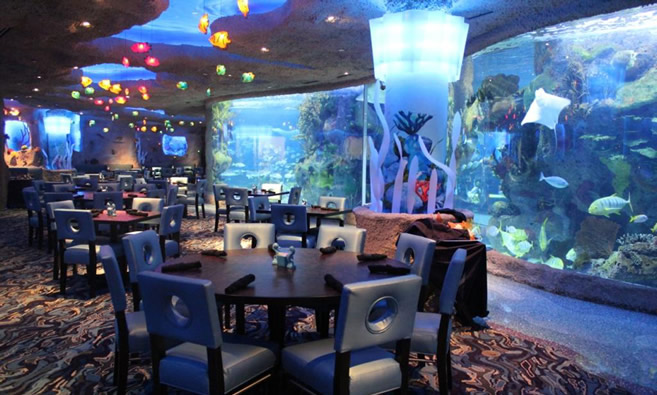 Dining room surrounded by Aquarium