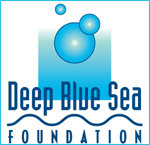 Deep Blue Sea Foundation