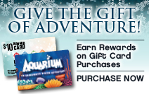 Aquarium restaurant nashville coupons