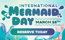 Mermaid Day