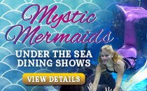 Mystic Mermaids