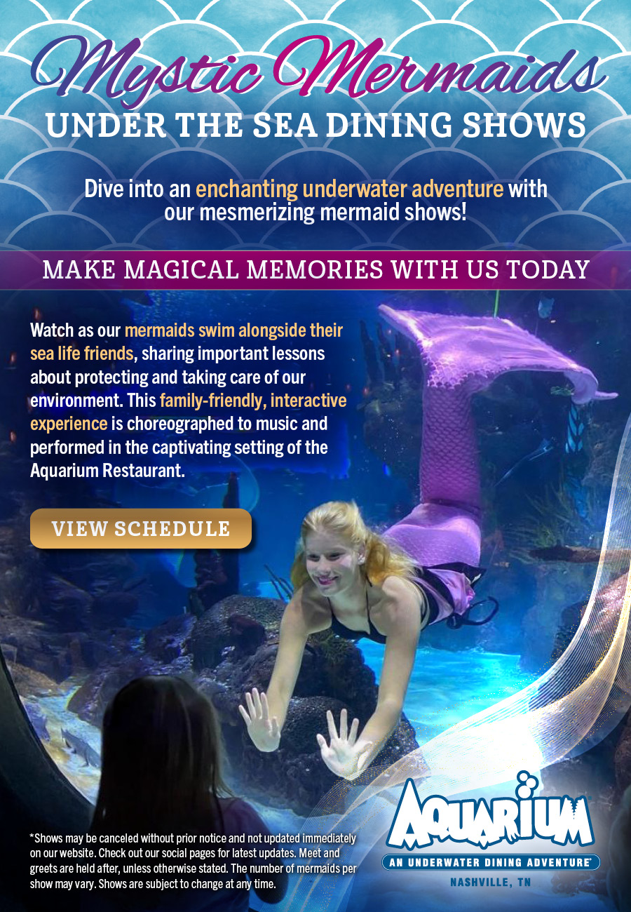Mermaid Show