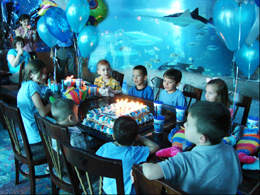 Birthday party with a view of the aquarium