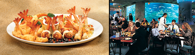 Plate of jumbo shrimp and aquarium dining