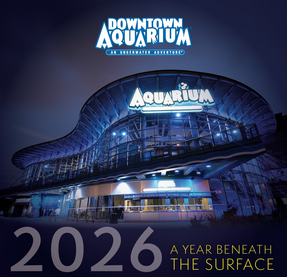 photo of the gift shop