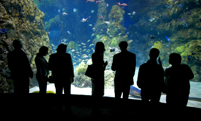 The Complete Guide to the Denver Aquarium