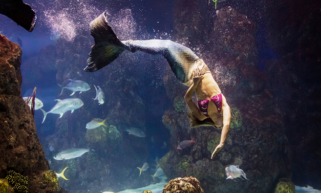 Mermaid doing an underwater somersault