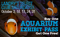 Downtown Aquarium - Denver, CO