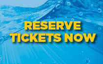 Reserve Now