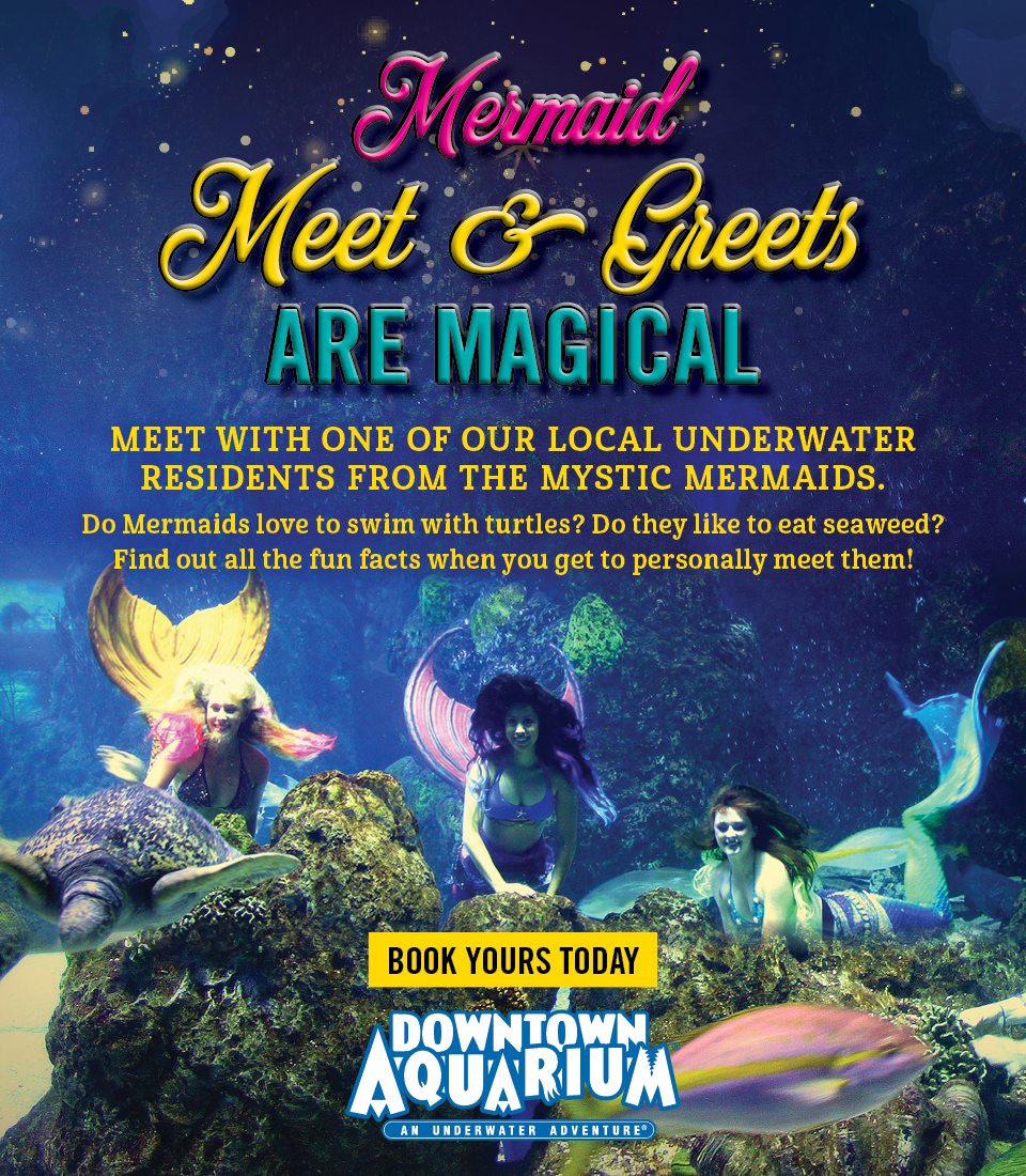 Mermaid meet & greet