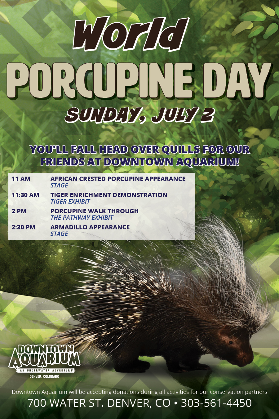 Porcupine Day