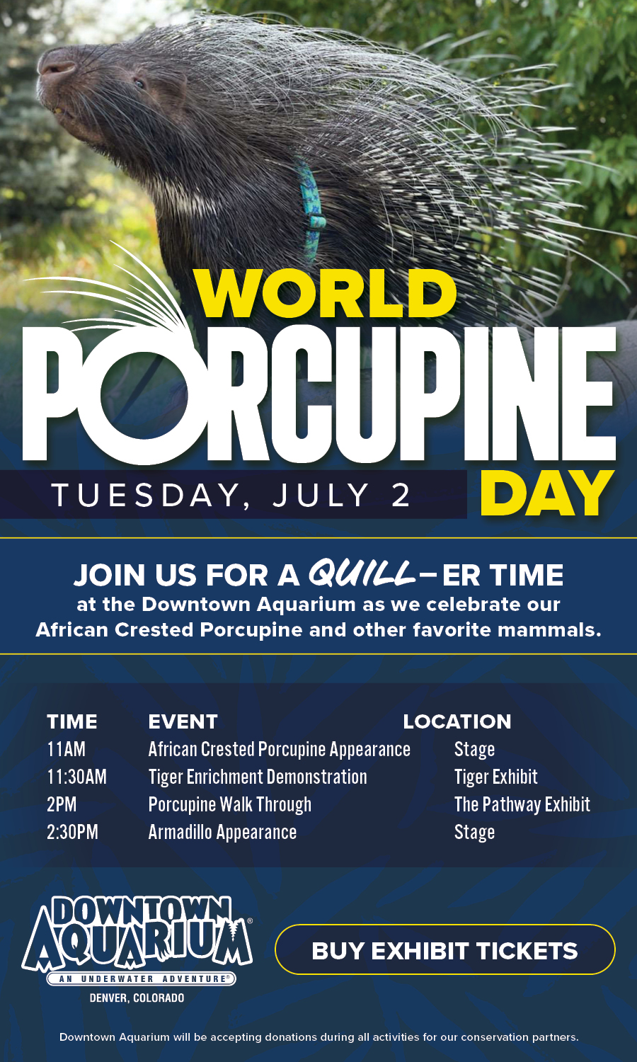 Porcupine Day