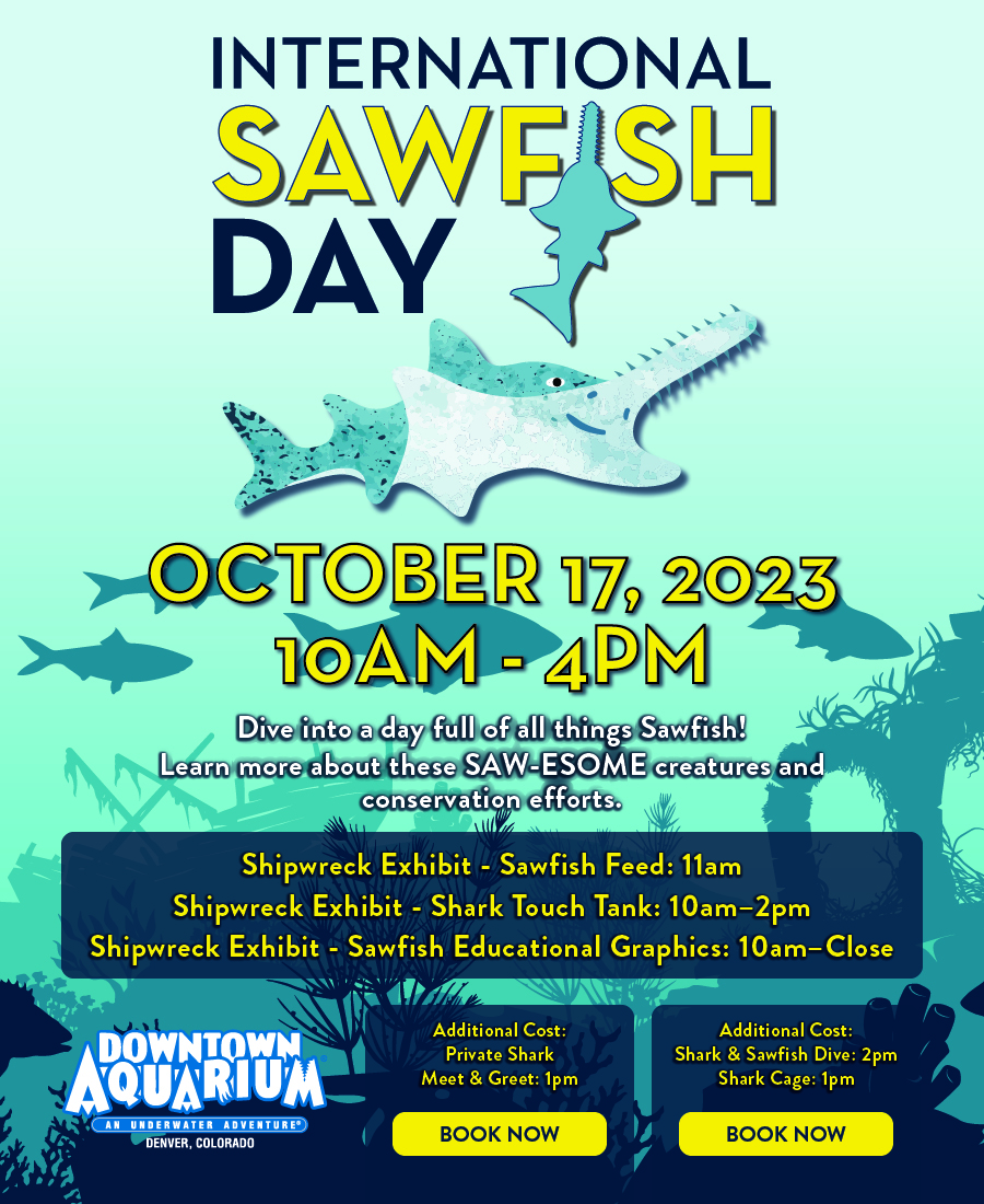 Sawfish Day