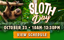 Sloth Day