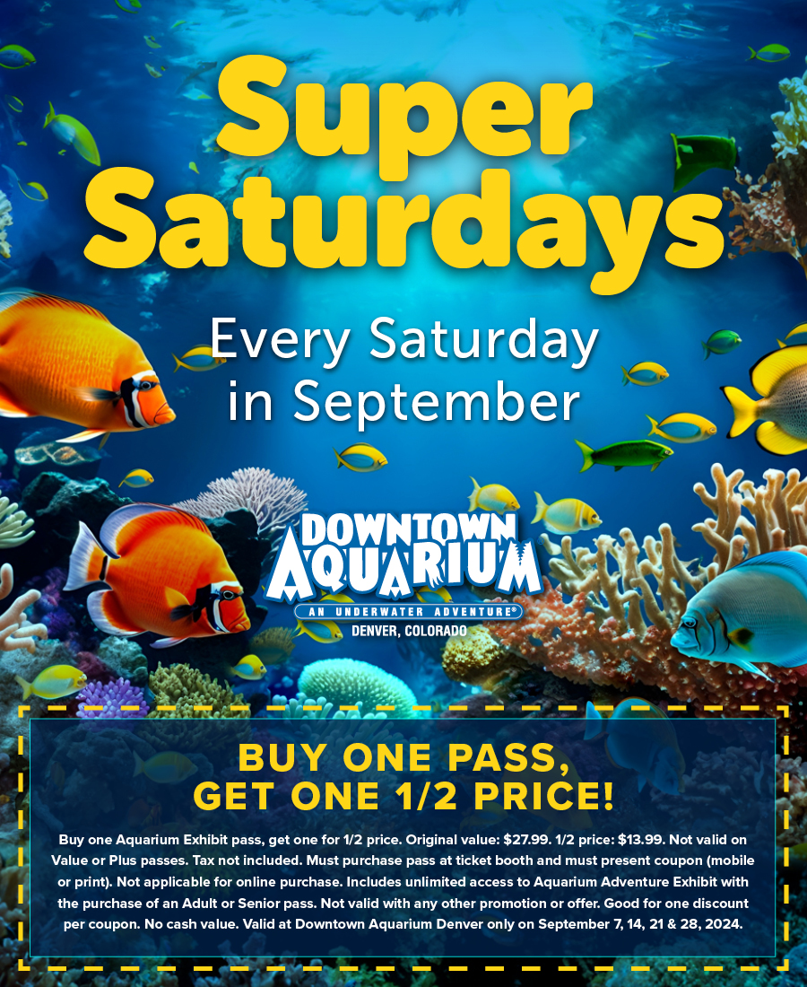Super Saturdays - Buy one pass.