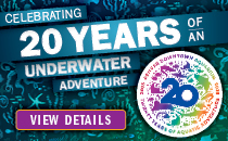 Denver 20th Anniversary