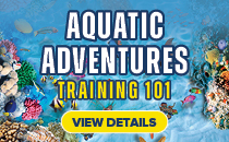 Aquatic Adventure
