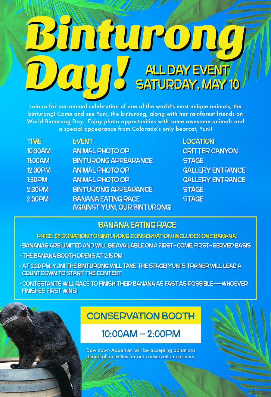 Binturong Day