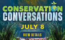 Conservation conversation