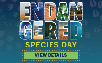 endangered species day