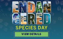 Endangered Species Day