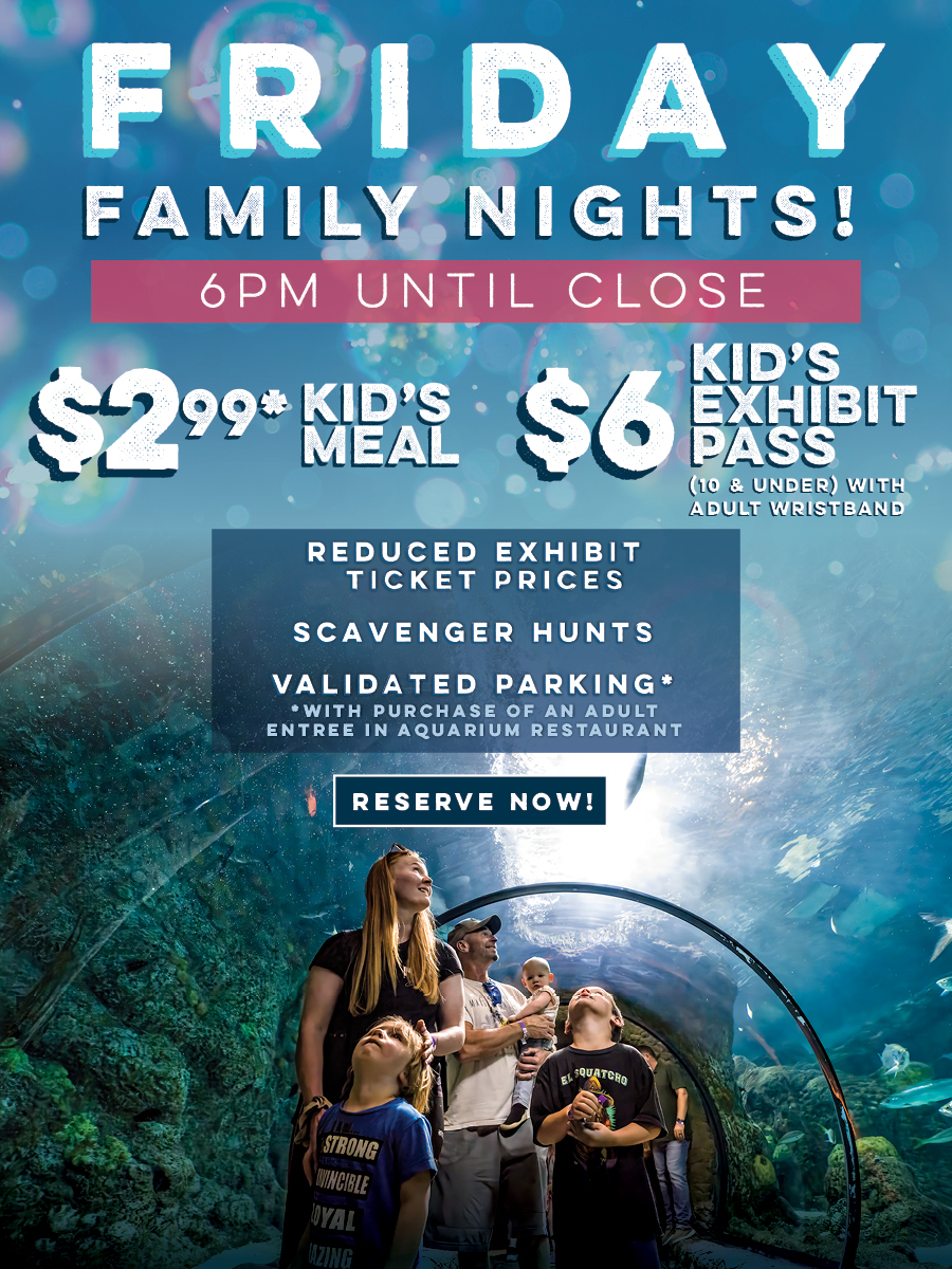 Friday family nights